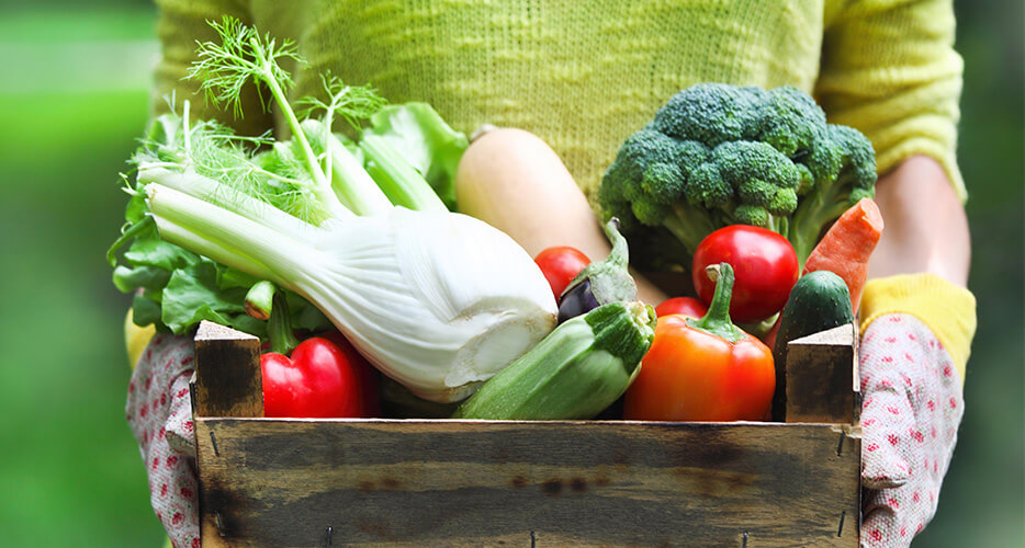 Better for you: i benefici e le proprietà di frutta, verdura e ortaggi
