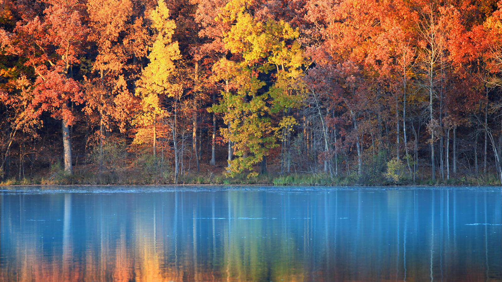 Il foliage e l’autunno…