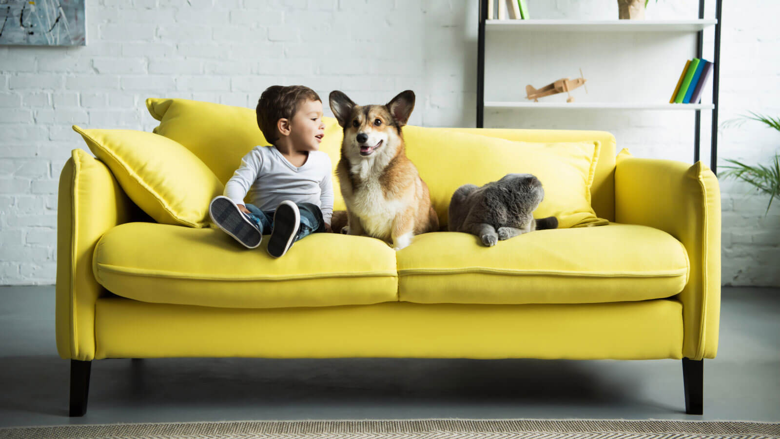 Consigli per una casa Eco e Pet friendly