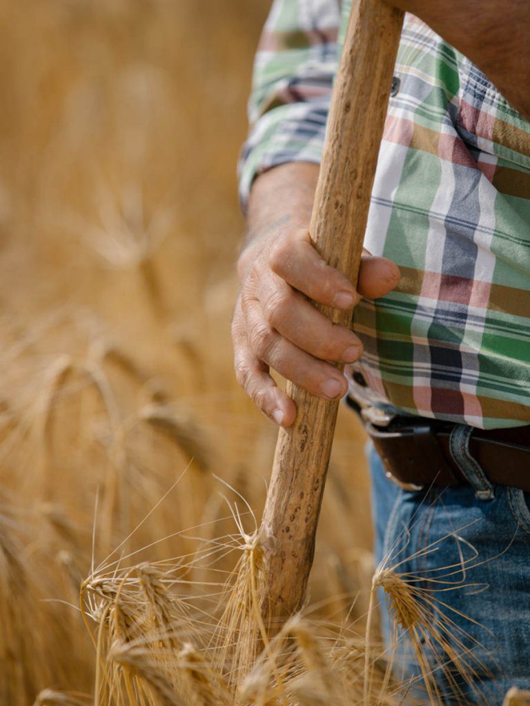 La filiera Misura: una scelta di campo per l’impegno sostenibile.