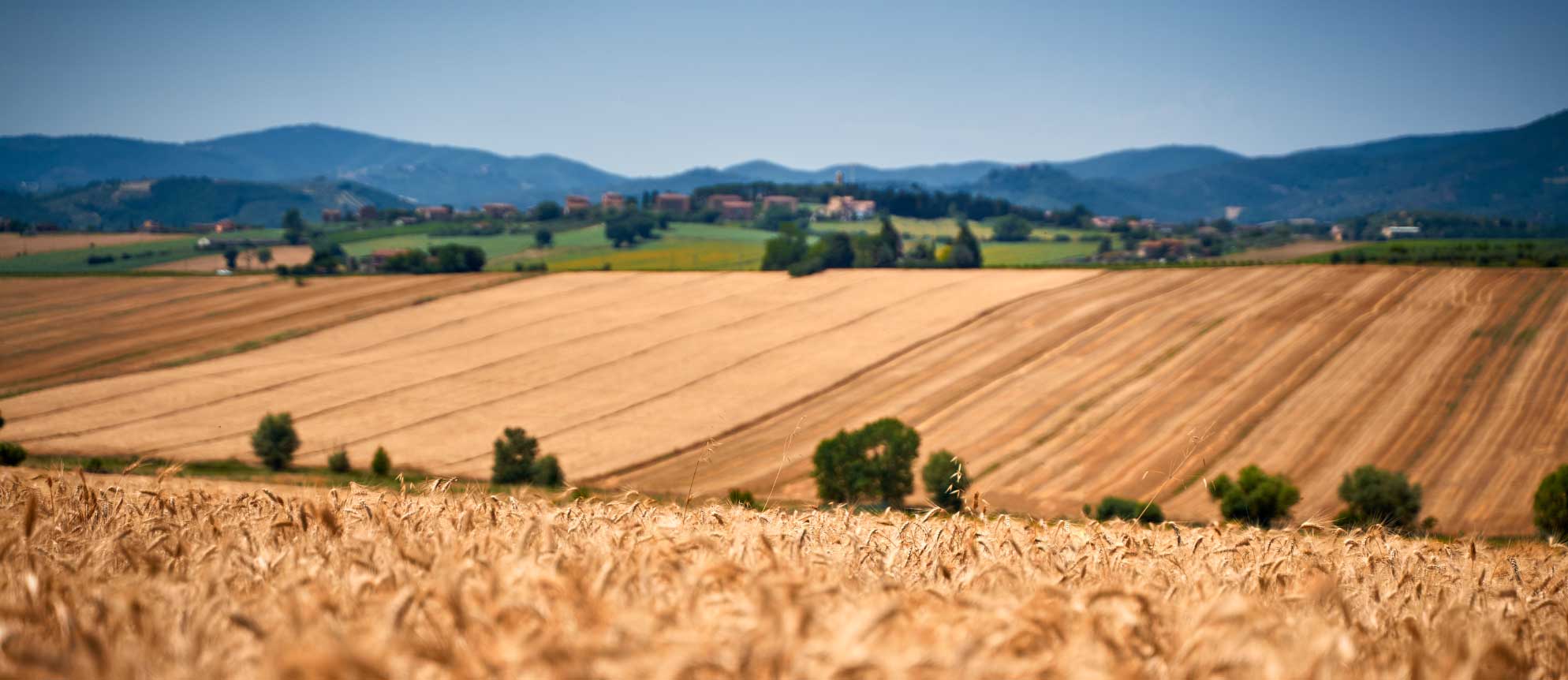 A Misura di Filiera