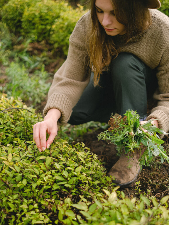 Il giardino sostenibile