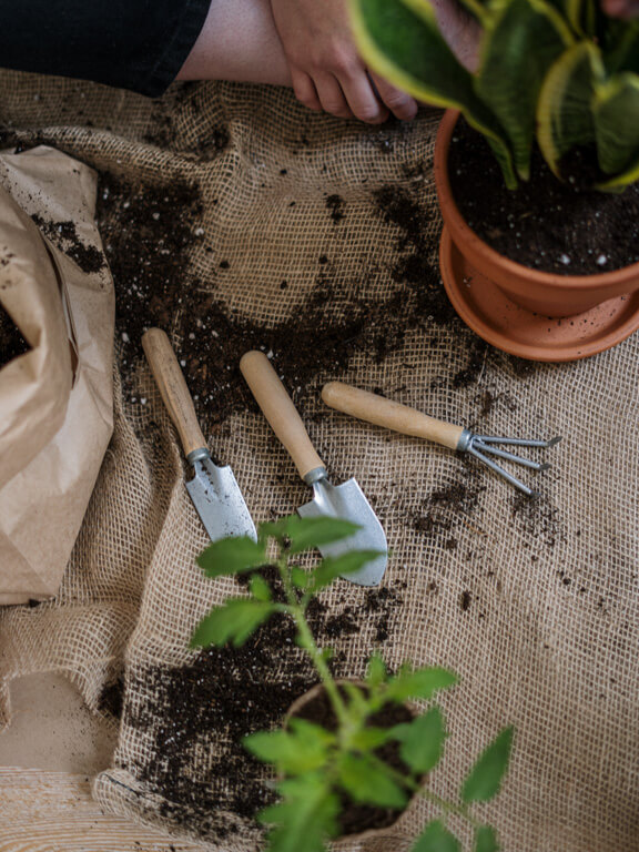 Il giardino sostenibile