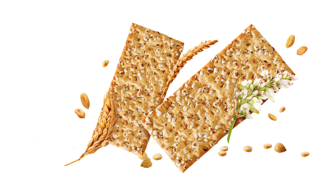 Crackers con Cereali Antichi