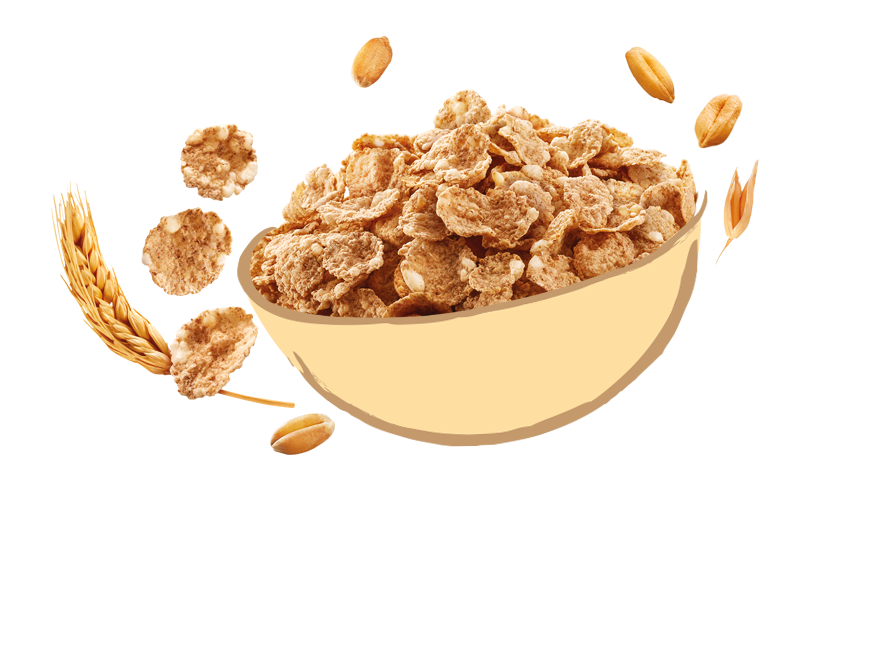 Fiocchi di frumento 100% Integrale Avena e Riso