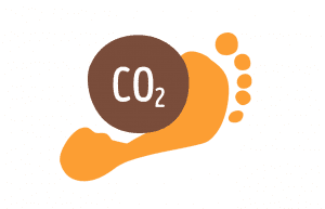 IMPRONTA DEL CARBONIO