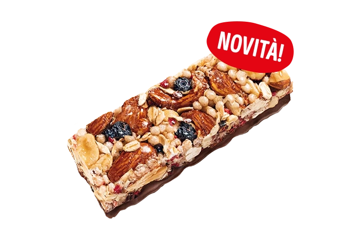 Barretta con  Arachidi, Cioccolato e Frutti di bosco