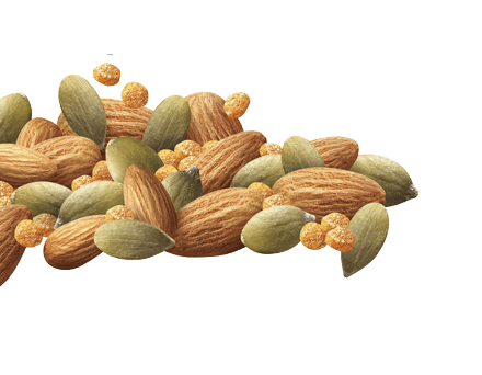 Barrette di Semi di Zucca e Cereali NATURA RICCA Barrette di Semi di Zucca e Cereali NATURA RICCA