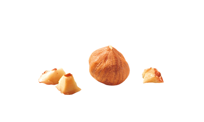 Frollino integrale con cereali, gocce di cioccolato e frutta Frollino integrale con cereali, gocce di cioccolato e frutta