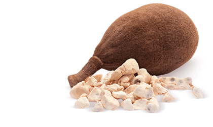 Barretta di Semi di Zucca e Cereali Barretta di Semi di Zucca e Cereali