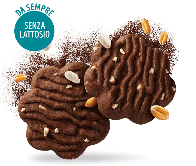 Biscotti con Cacao e Riso Soffiato Biscotti con Cacao e Riso Soffiato