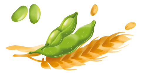 Immagine degli ingredienti principali del Crackers Soia Misura, della linea Naturicca