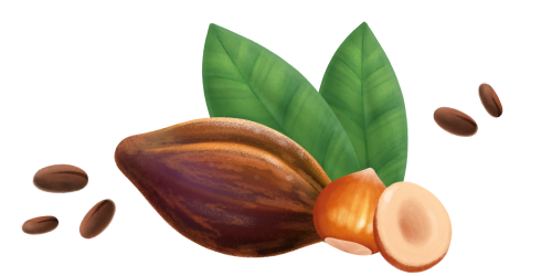 Immagine degli ingredienti principali dei Biscotti Nocciole e Fave di Cacao Misura, della linea Naturicca