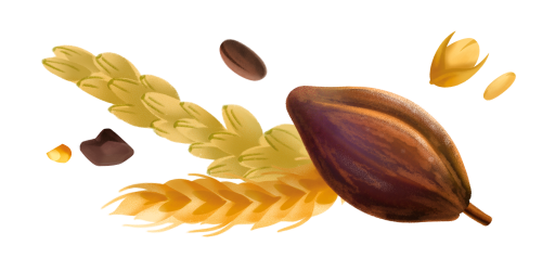 Immagine degli ingredienti dei Biscotti Cacao e riso soffiato Misura della linea Privolat