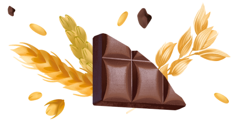 Immagine degli ingredienti principali dei biscotti cereali e gocce di cioccolato Misura della linea Privolat