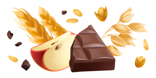 Immagine degli ingredienti principali dei Biscotti integrali cereali muesli, cioccolato e frutta Misura della linea Fibrextra