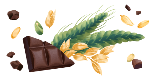 Immagine degli ingredienti dei Cereali farro e avena integrale con cioccolato fondente Misura della Linea Fibrextra