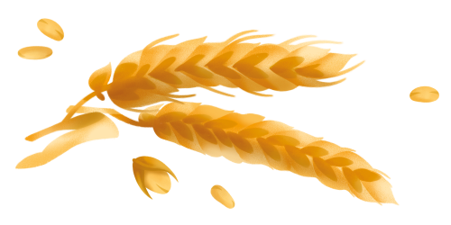 Immagine degli ingredienti dei Cornetti Classici Misura della linea Privolat