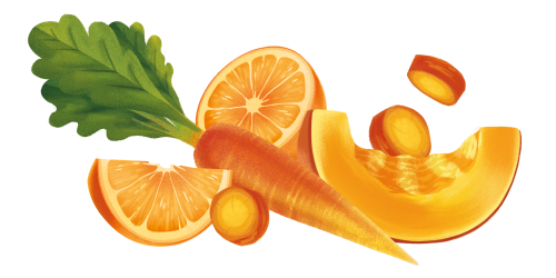 Ingredienti dei cornetti integrali zucca, carota e arancia Misura - Linea Fibrextra