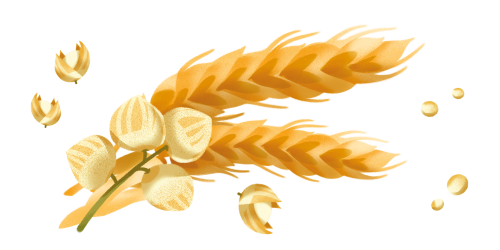 Ingredienti del prodotto crackers cereali antichi Misura - Linea Multicereali - Prodotto