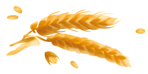 Immagine dell'ingrediente principale dei Crackers integrali Misura - Linea Fibrextra