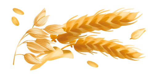 Ingredienti del prodotto Fette Biscottate Cereali Antichi Misura - Linea Multicereali