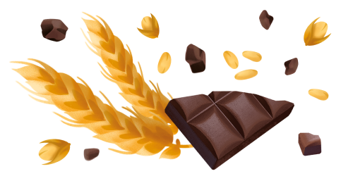 Immagine degli ingredienti dei Biscotti Cioccolato Fondente integrali Misura della Linea Fibrextra
